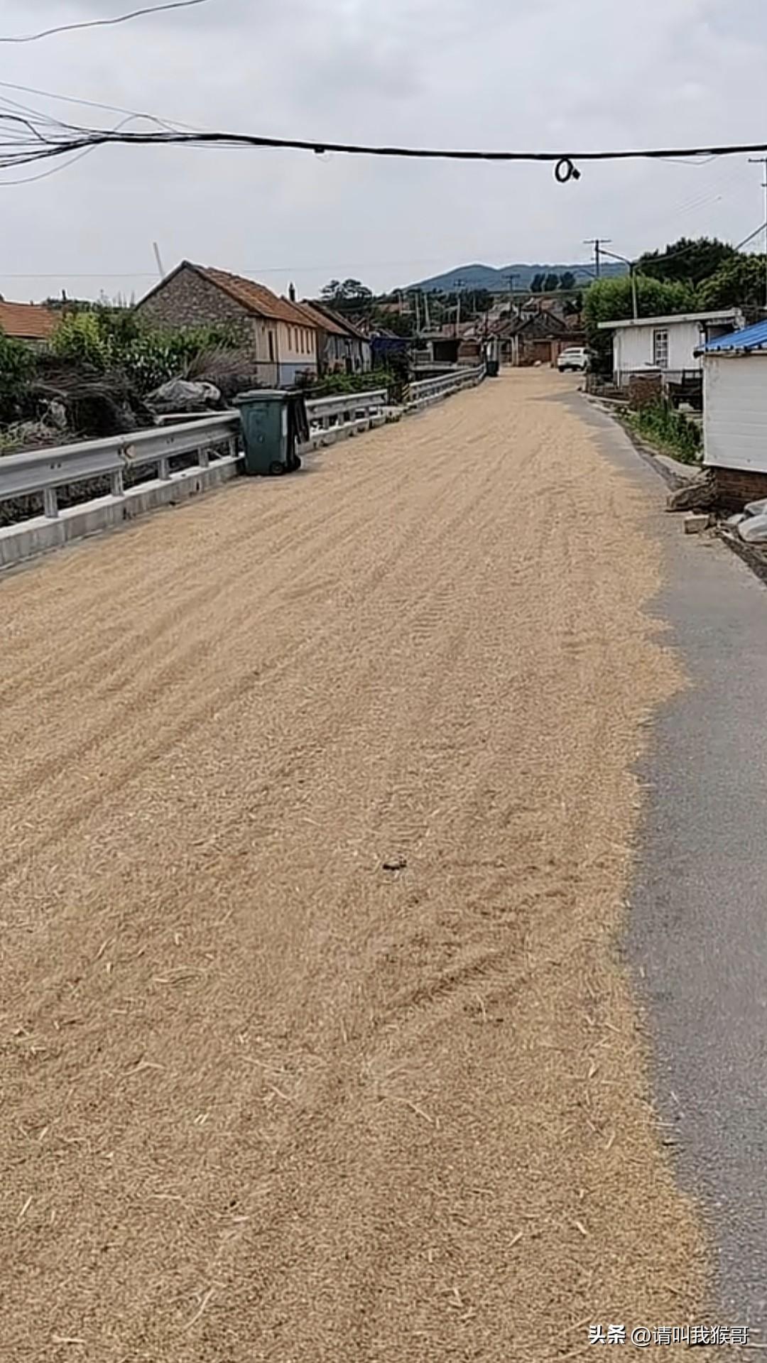 碰到这样的路该不该压过去？