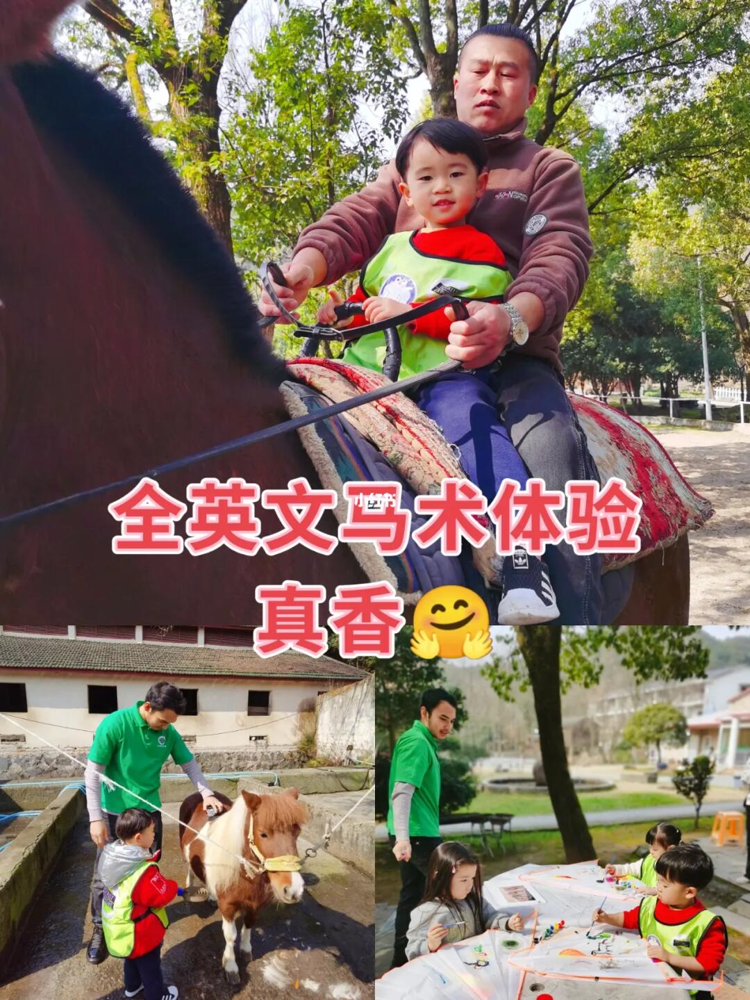 挖到宝了，超高性价比的全英文马术体验