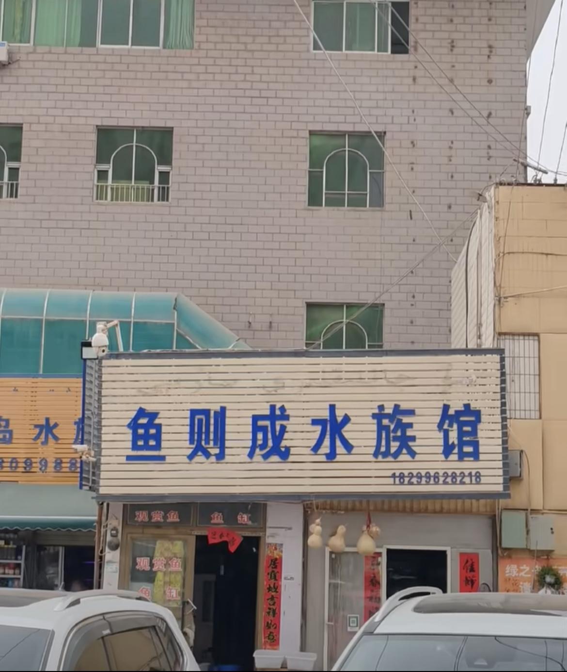 《鱼则成水族馆》，这个名字一看就知道老板肯定喜欢看《潜伏》，旁边应该再开一家《敬