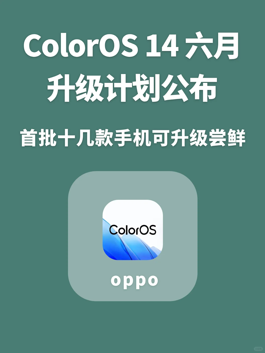 ColorOS 14六月升级计划公布，这些可升级！