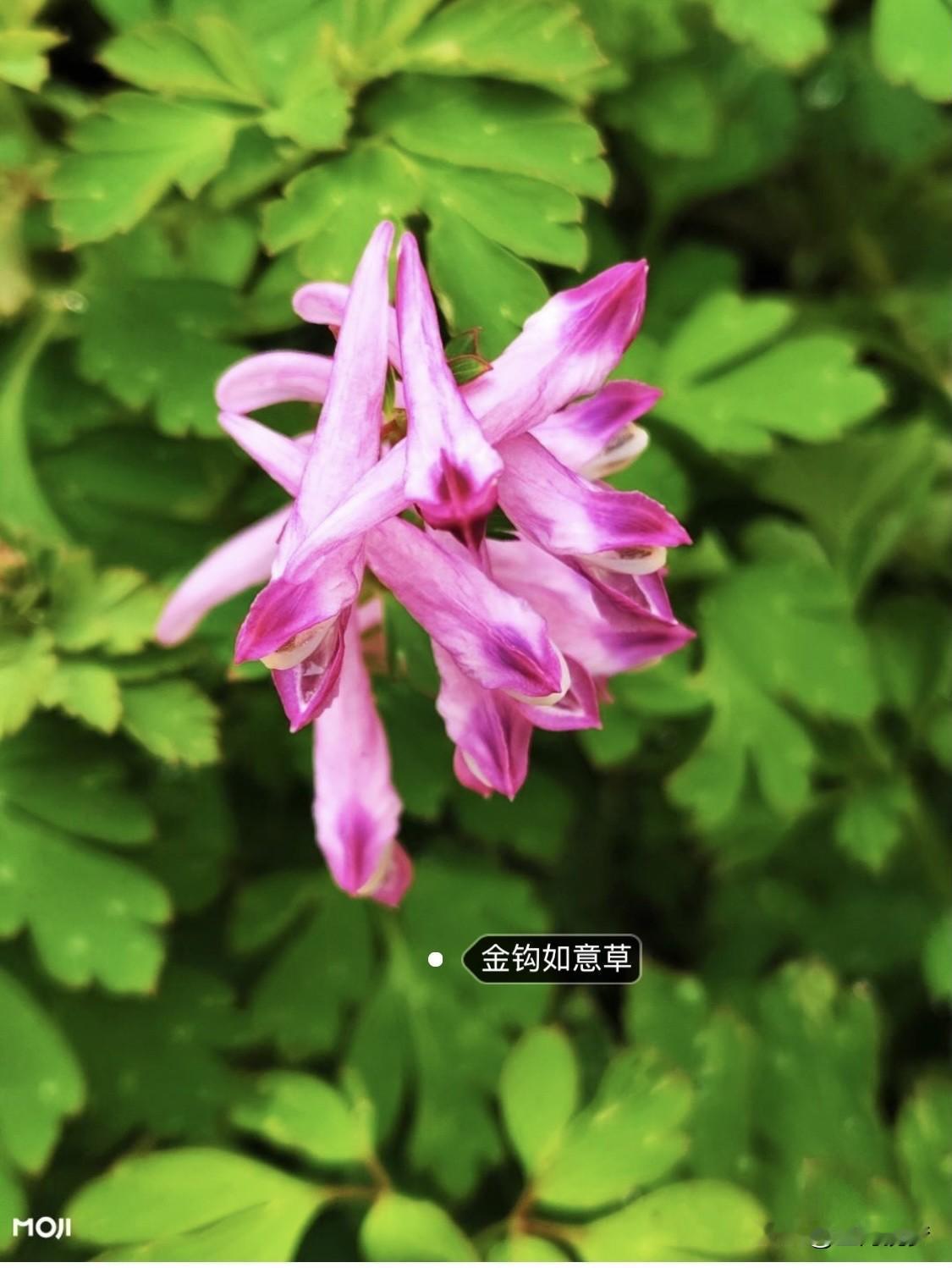 教育孩子的方式多种多样，我比较喜欢把孩子当作独立个体尊重的方式。很多家长觉得孩子