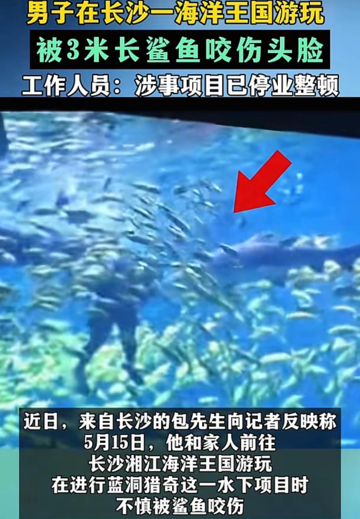长沙，真是一个神奇的地方！
有人在长沙景区被【鲨鱼】咬了，
有人在长沙市区被【黄