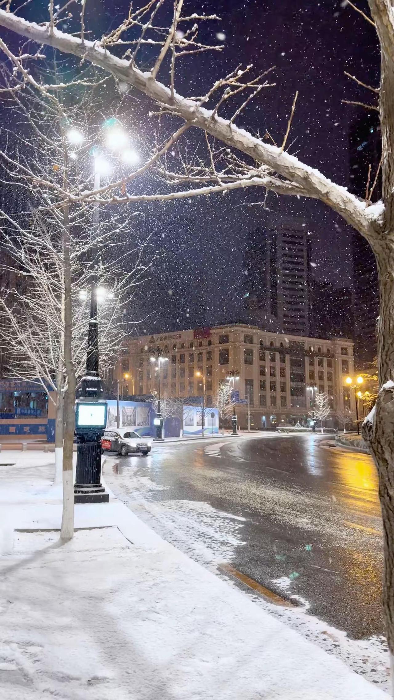 大连下雪了，这次局部在中山 西岗 甘井子！！！
