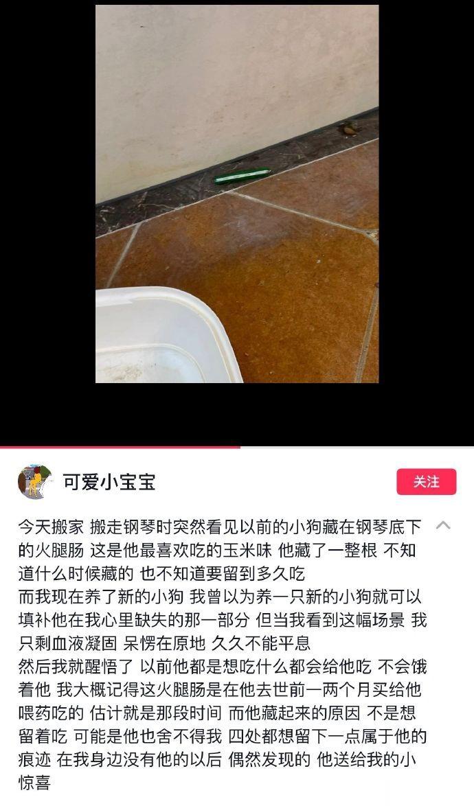 [泪][泪][泪]杀我别用宠物刀 ​​​