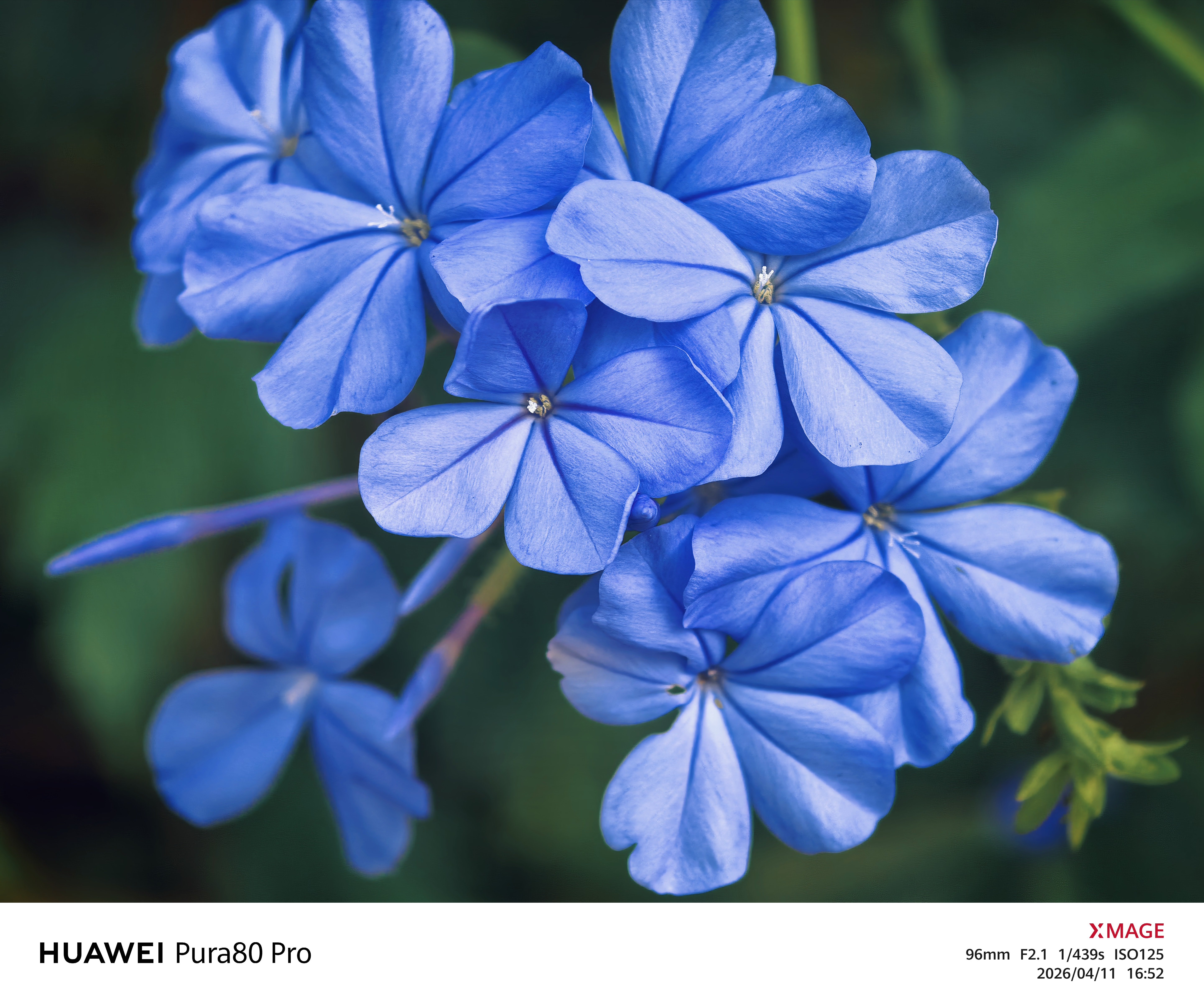 蓝色系手机摄影华为