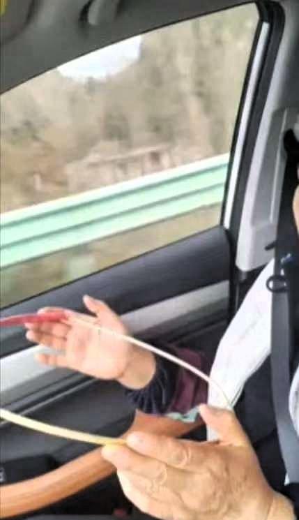 人怎么能这么聪明！”浙江，一男子的母亲晕车严重，为了让母亲舒服，男子找了一个树枝