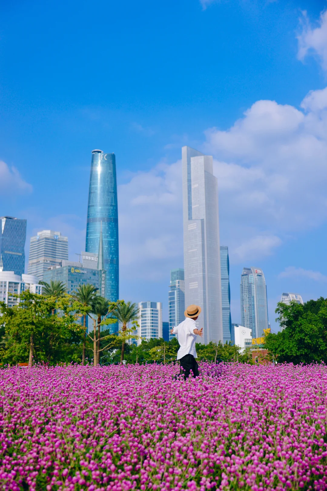 10月的广州还是花城，宏城公园紫色浪漫花海