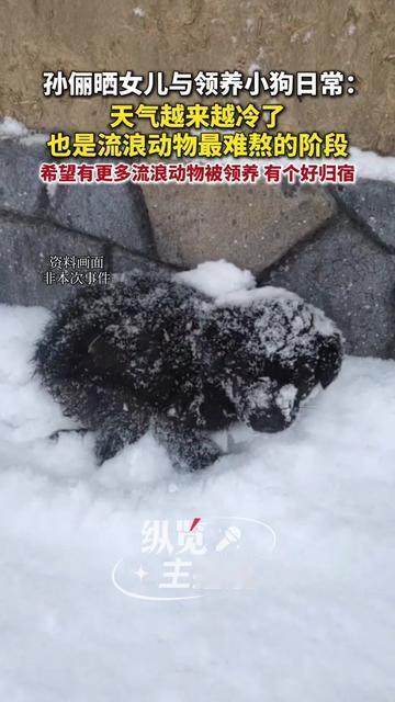 孙俪今天没晒剧本没秀厨艺，却让大家集体破防！

10岁小花蹲在玄关，举着湿巾