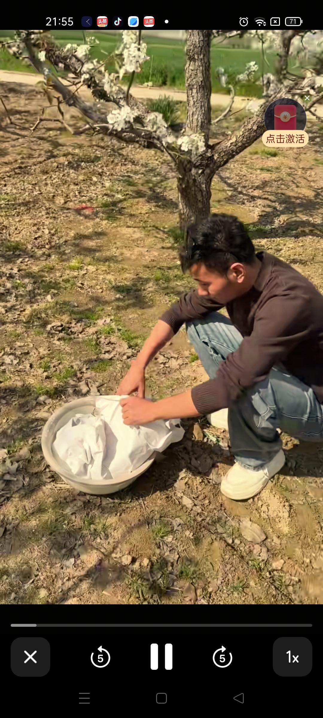 怀远一个人在安徽的梨园里忙来忙去， 确实 ，看起来挺让人心疼的 ，除了家乡的父老