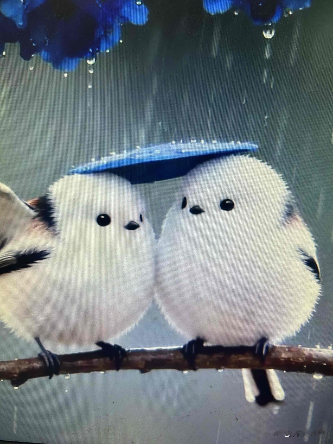 对自己的配偶好点吧，人到老了才懂，身边最靠谱的还是枕边人

在药店工作十几年，每