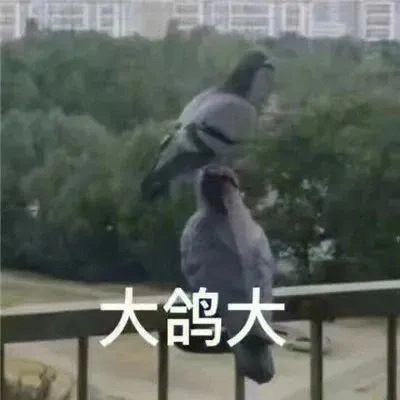 沙雕表情包 ​​​