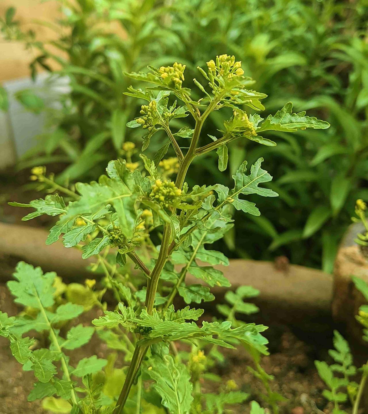 我的今日状态：😁轻松愉快
我这里的天气：☀️晴天
