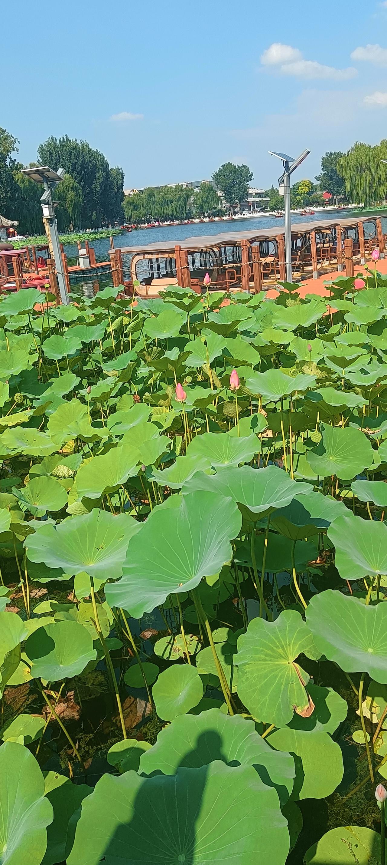 我兜里有钱，但我不花，我就自个煮碗面吃---这是生活智慧，也是对未来的敬畏。
我