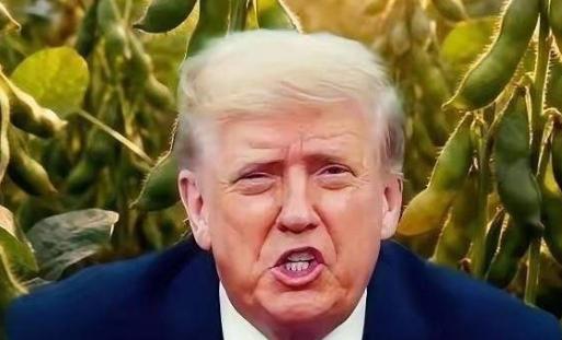 万一阿根廷、美国、巴西三国大豆全部涨价，中国怎么办？如果阿根廷、美国、巴西三大主