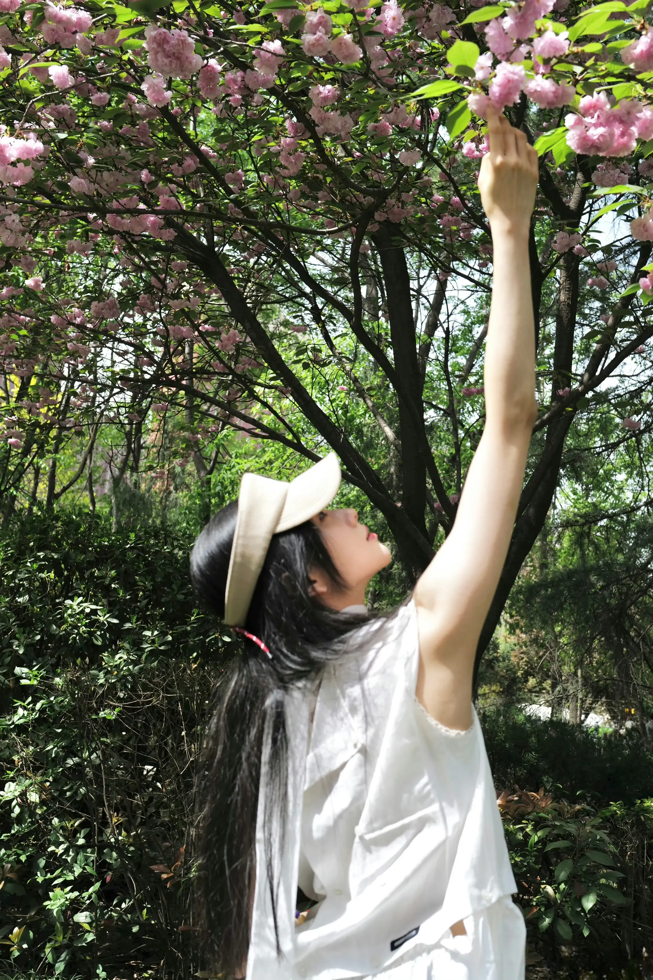 樱花与你