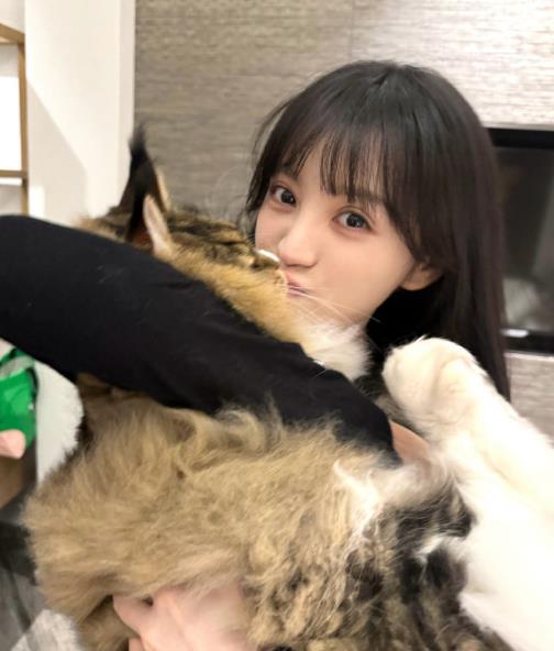 田曦薇的猫半条人 95花田曦薇晒出一人一猫合影，只见田曦薇抱着的猫比一般的家猫还