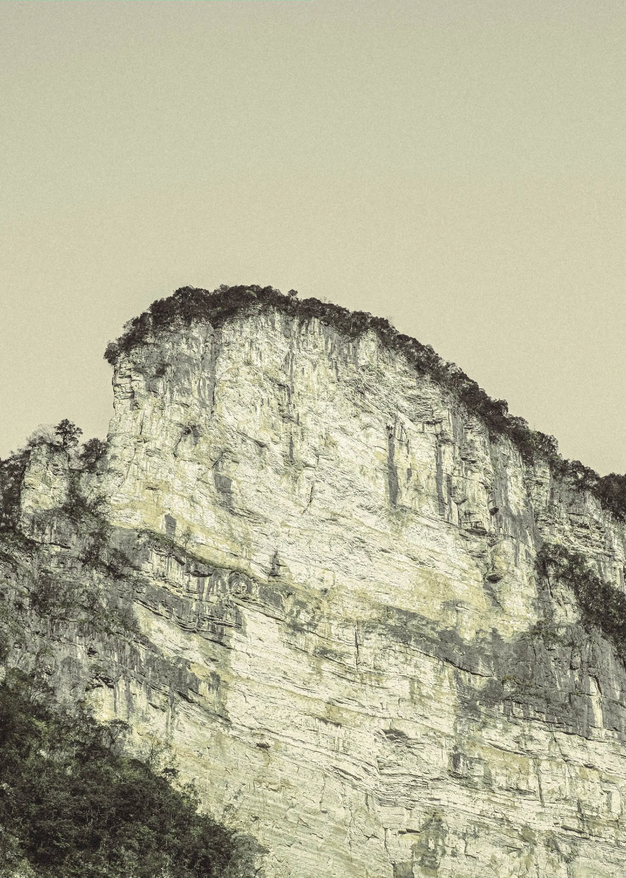 他们说这一组拍的好有郎静山先生的风格。这大概只有中国人才懂的意境吧