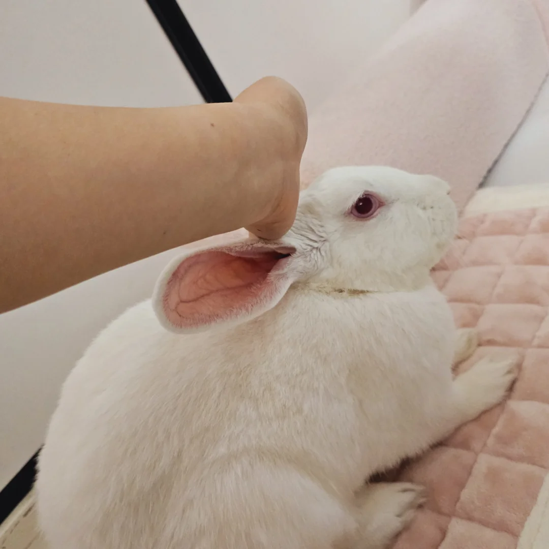其实她好小一坨