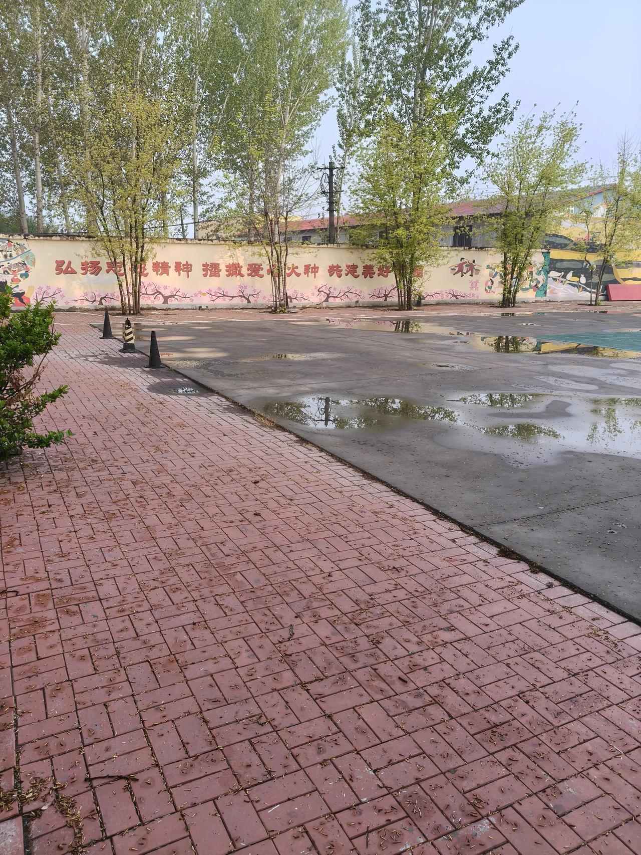 换个角度，换个心情。昨天天津下了一夜的雨，小雨🌧️下的还不小，淅淅沥沥的下着。