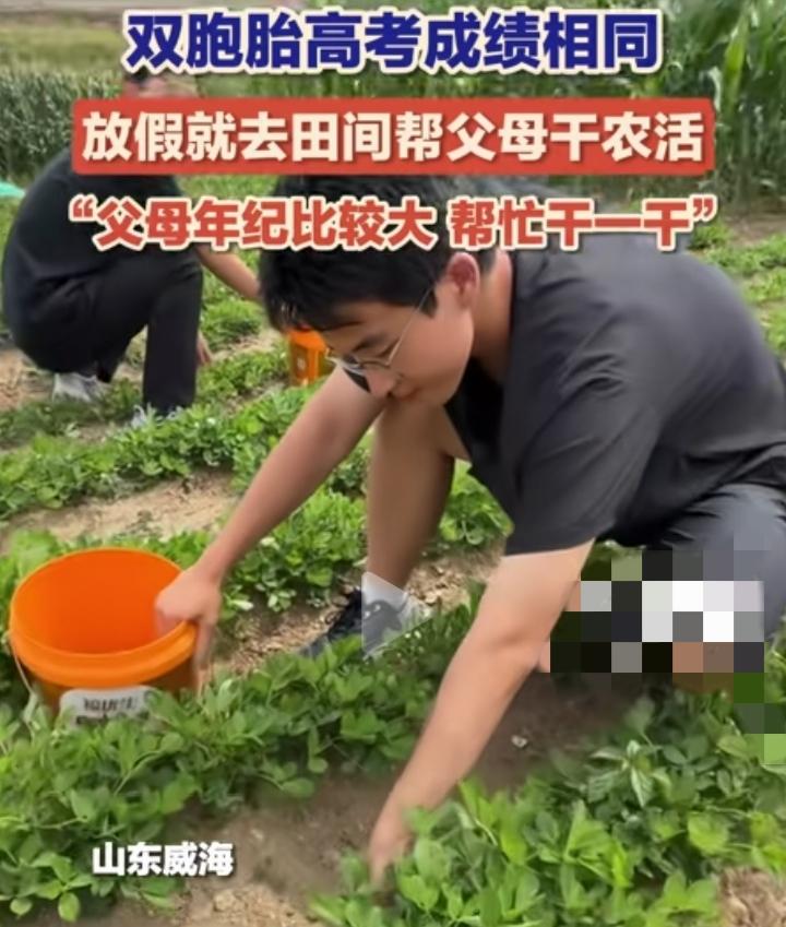 山东威海这对双胞胎不仅学习好还特别懂事有孝心！放假不出去玩，而是去田间帮父母干农