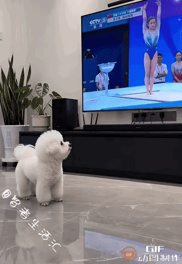 狗狗太可爱了吧，学的有模有样的[赞][赞][赞]