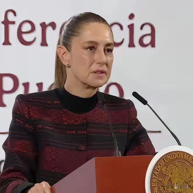 墨西哥宣布了​
2月3日最新消息，智利、巴西和墨西哥三国政府联手向联合国正式提交