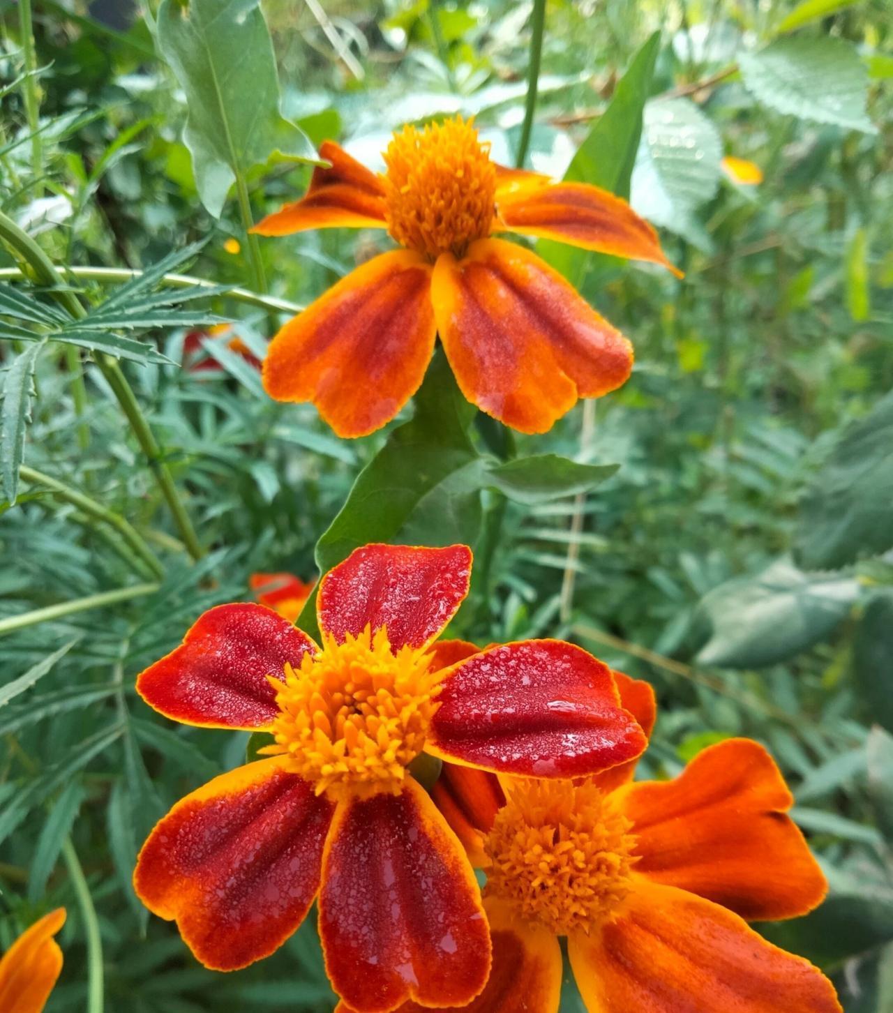 姑姑砍价神操作！去年出83万被拒，今年房价降了，她却只出价78万？

一年前的遗