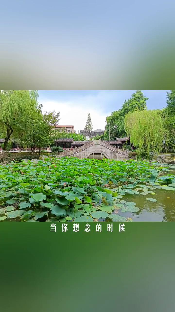 那远山呼唤我，曾千百次路过。半山腰摘几朵，便飘向歌颂者。那份简单离开后，就再也没