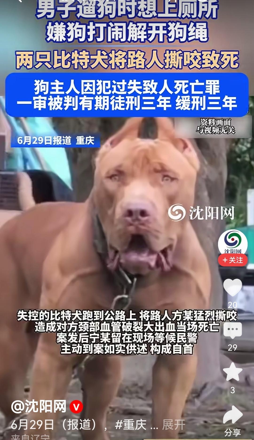 人毒死狗，四年实刑，狗咬死人，缓刑。
问题出在哪里。
有人说，不能简单的拿刑罚结