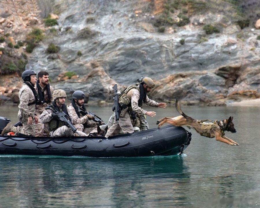 西班牙、葡萄牙、意大利三国的训导员和军犬队，参加了加拿大海军步兵组织的 CANE