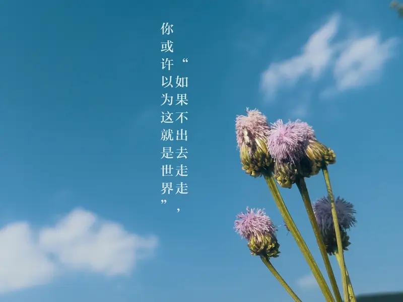 让我醒悟的话是“原来人生，只需要对自己负责”。30岁前，我活在别人期待里，怕这怕