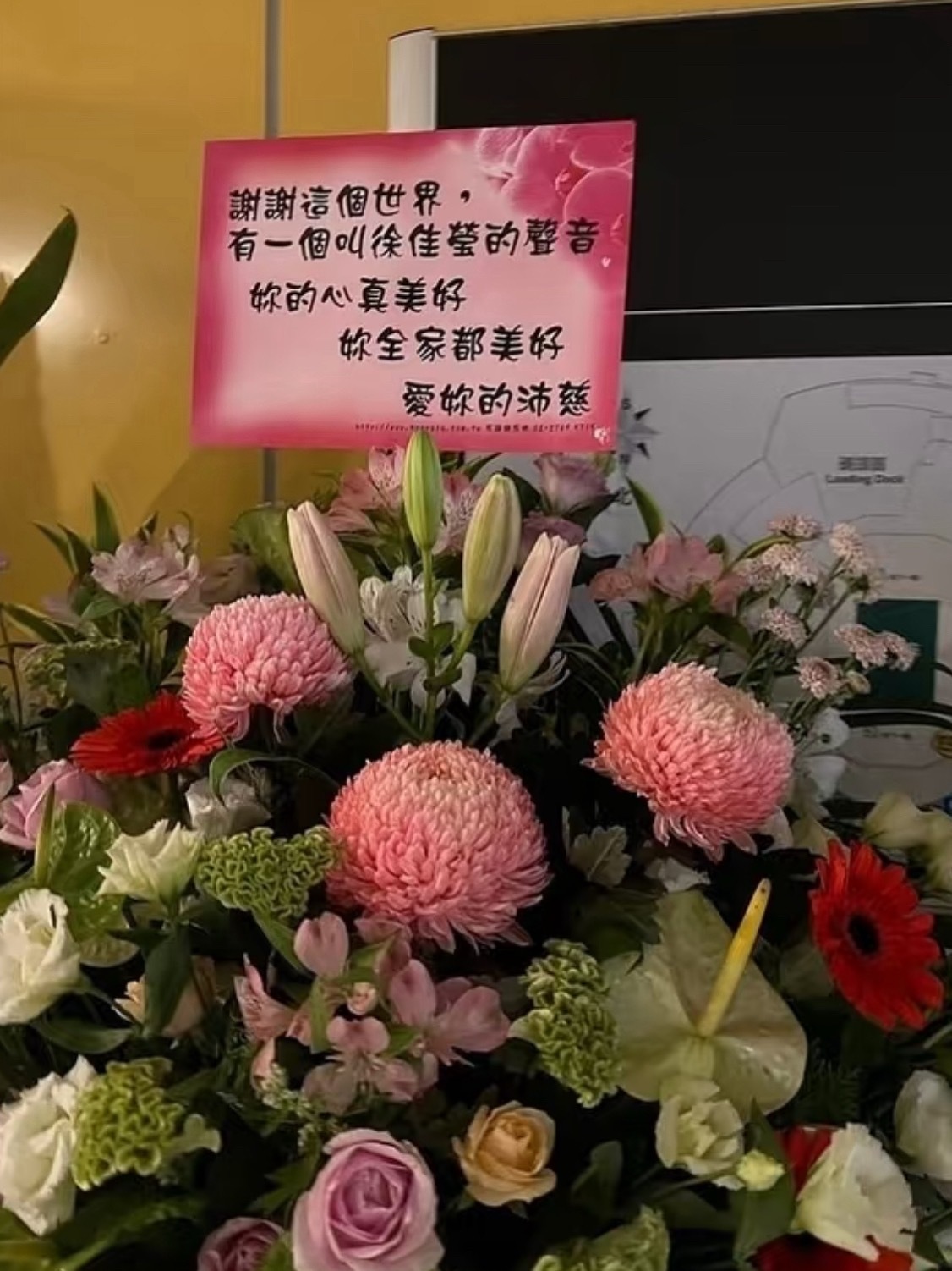 曾沛慈给徐佳莹的祝福 你全家都美好哈哈哈哈哈哈哈哈哈哈哈哈哈哈🤣谢谢这个世界有