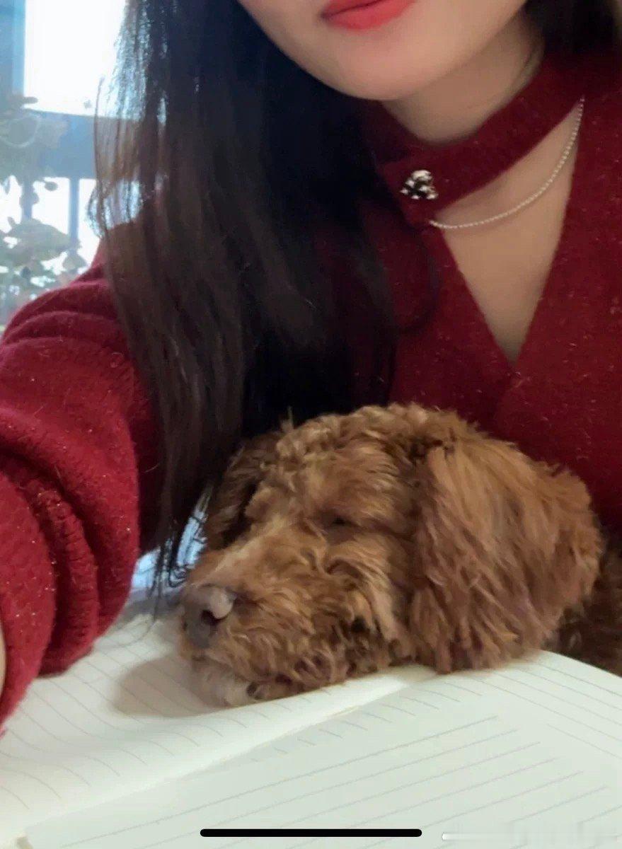 好美啊，评论里看到的一个买家秀。最后一批补货啦[心]年底了不敢多补了，基本卖多少