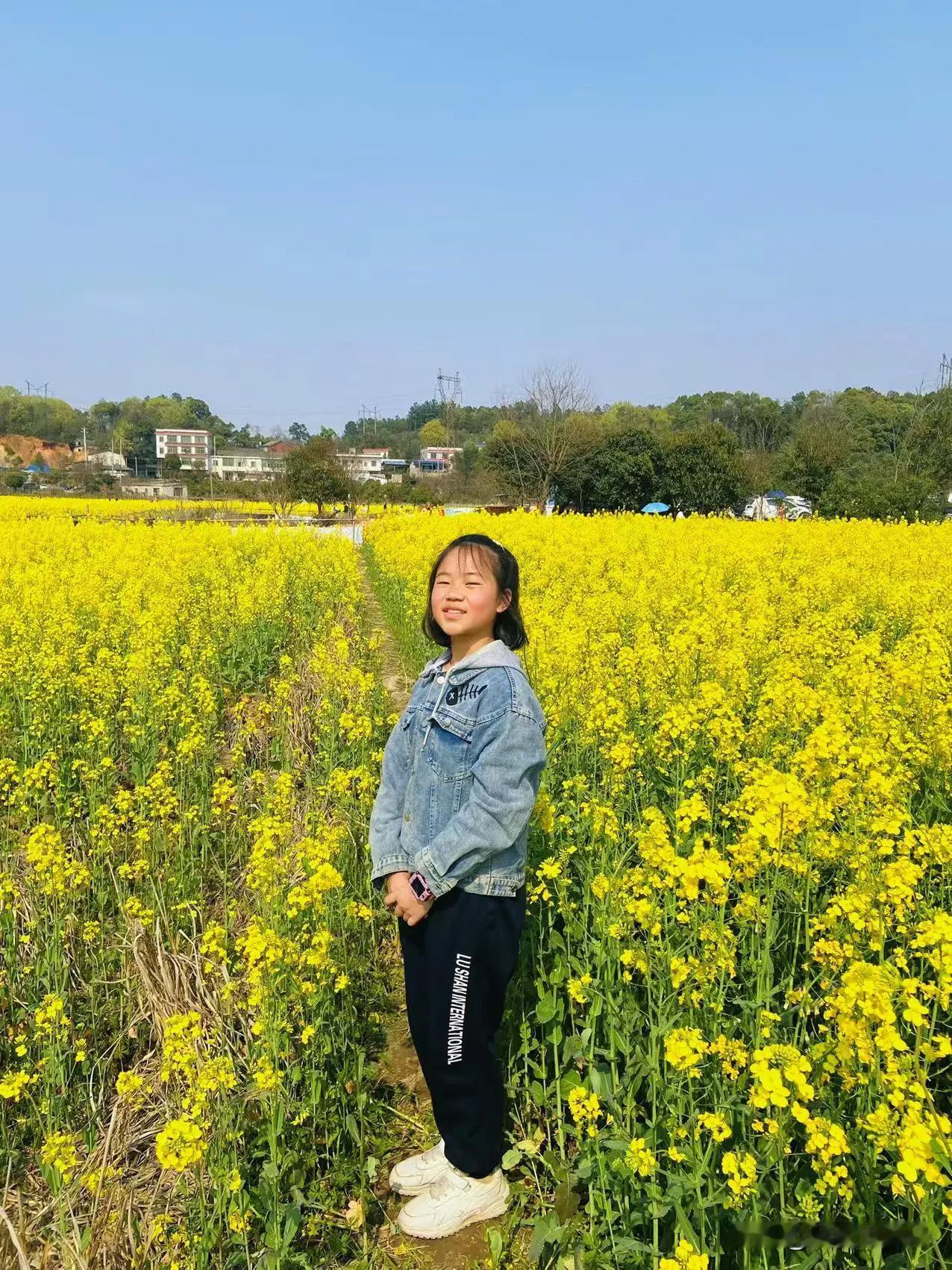 长沙市区出发20分钟就可以抵达的油菜花海～

就在含浦，超大片，已经开好了~~