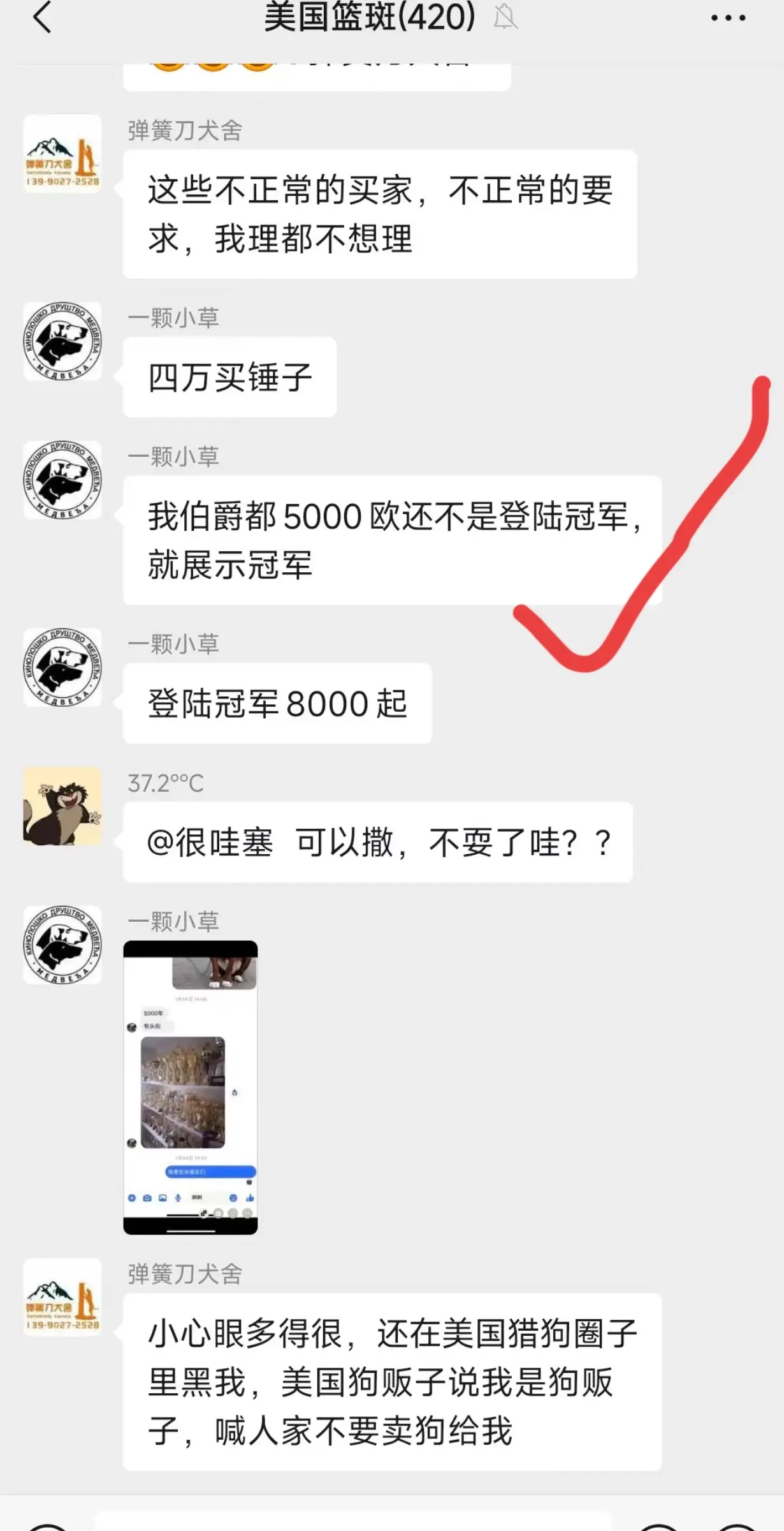 哦豁，塞尔维亚进口“实战冠军伯爵”秒变“选美冠军”🏆🤣🤣🤣🤣...