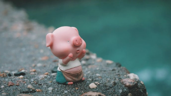 王小波的《黄金时代》中有一句话：“你自己爱干啥就干啥，首先要当个正直的人，其次要