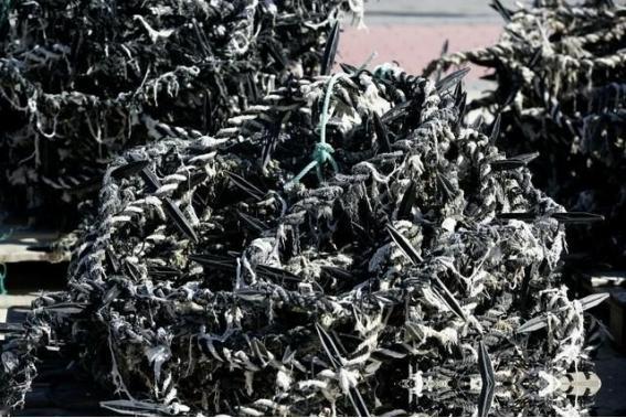 日本曾经死咬钓鱼岛，动不动就敢来挑衅中国，怎么现在没声了？其实很简单，日本的沉默
