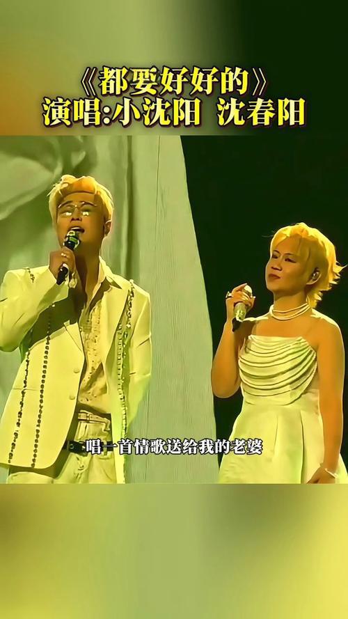 大同夏夜的体育场灯光亮如星海，小沈阳“不差面儿”巡演现场，《你懂得》的旋律刚起，