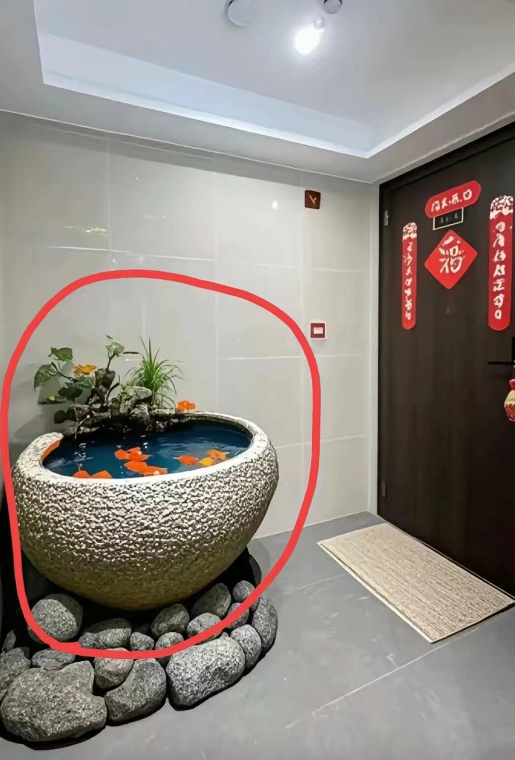 谁懂啊！一梯两户的楼道，被邻居改成“私人鱼缸”了！
 
真的快愁死了！我家一梯两