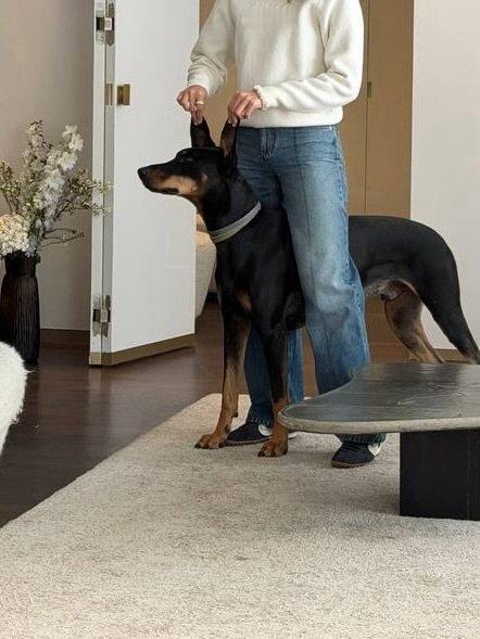 ？？？停停停宝子 