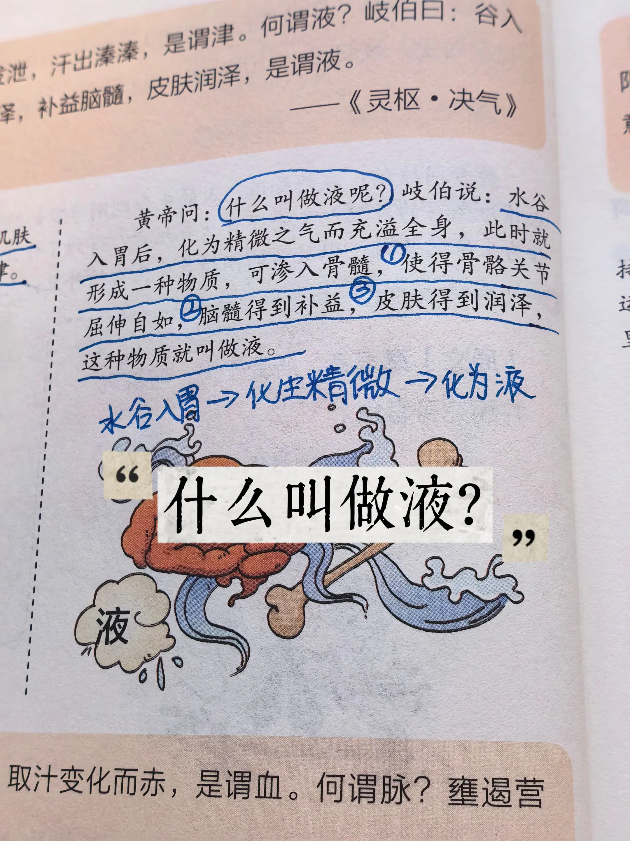 我们吃的粮食、喝的水进到胃里，消化成细腻营养精气，遍布全身，转化出的滋...
