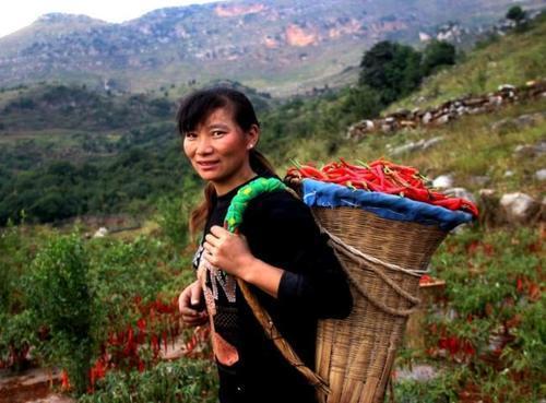 乡村故事——远嫁的大姑回来探亲，解了婆婆的困境。

在宁静的乡村，生活总是平淡而