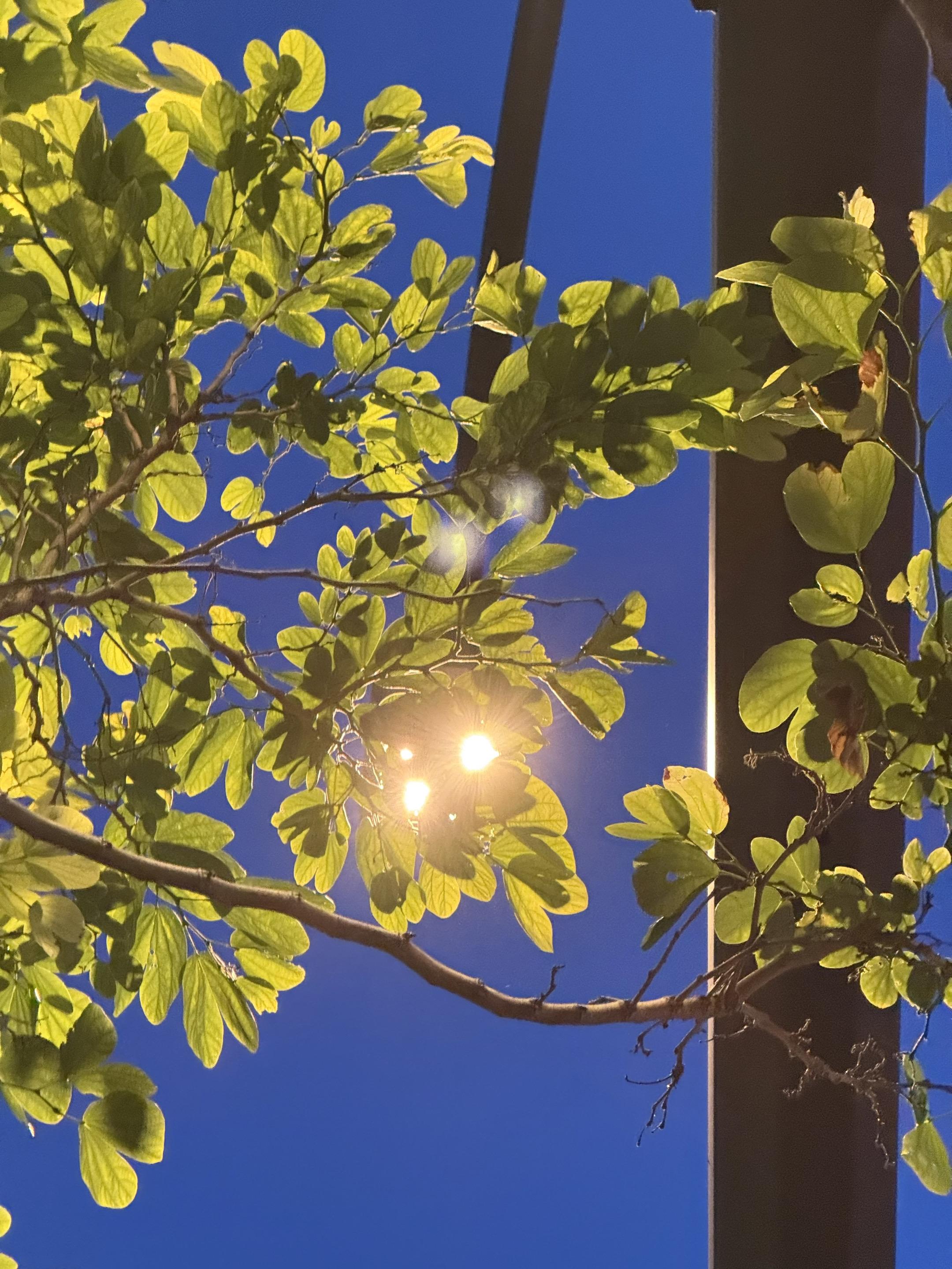 《月落参横》by滕玦。靳轻（女主）和顾谦（男主）是大学时期的校友，一次...