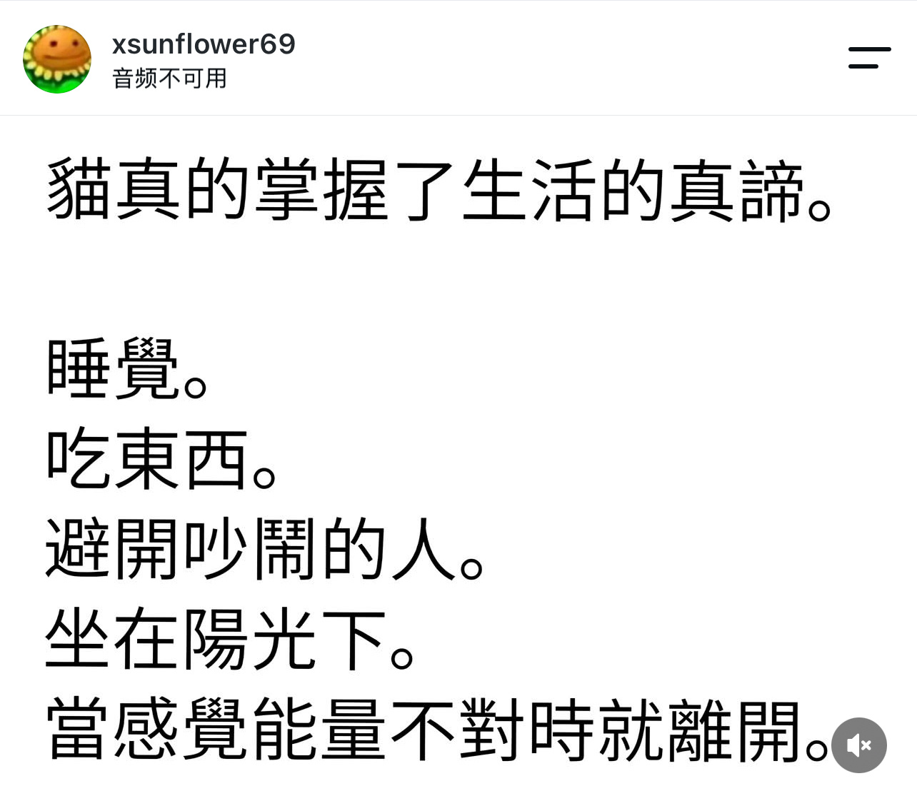 猫猫才是真的掌握了生活的真谛。 ​​​