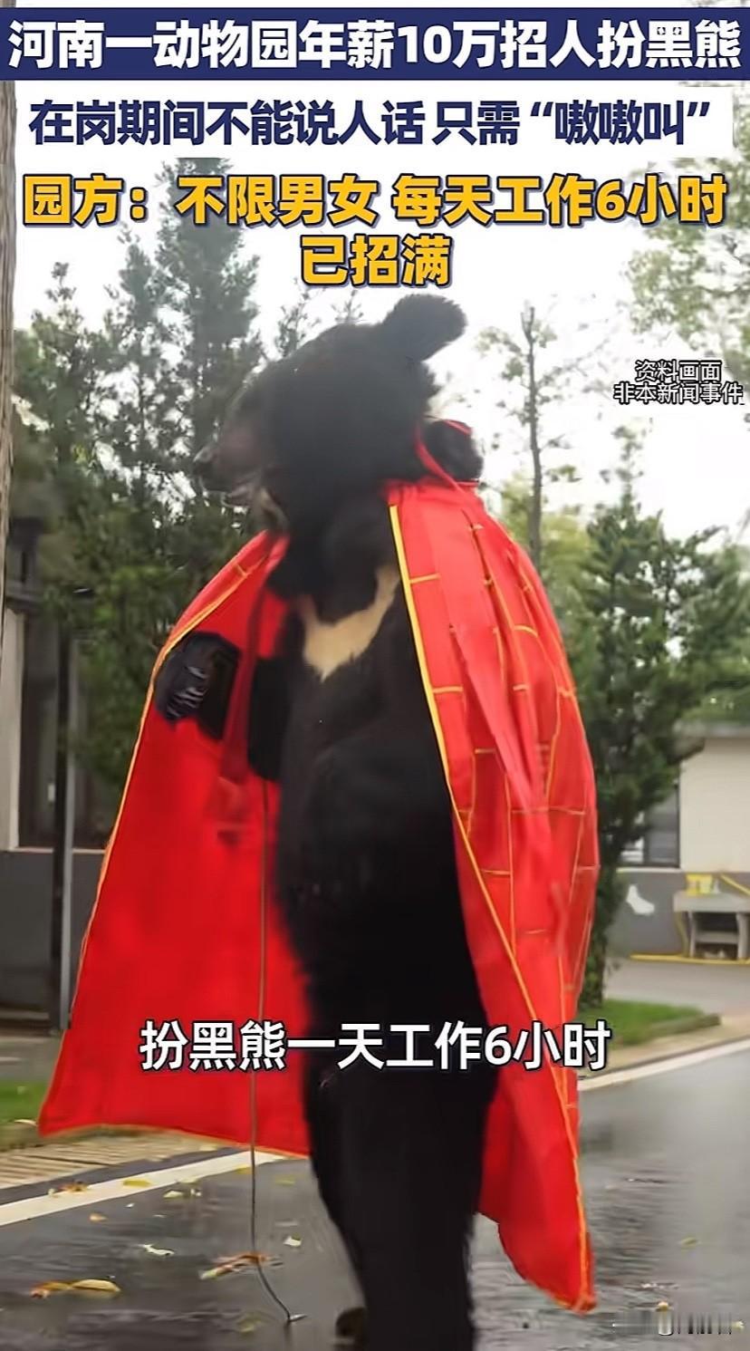 河南一动物园一年10万招人扮黑熊，不限男女，每天工作6小时，禁止说人话，只需要“