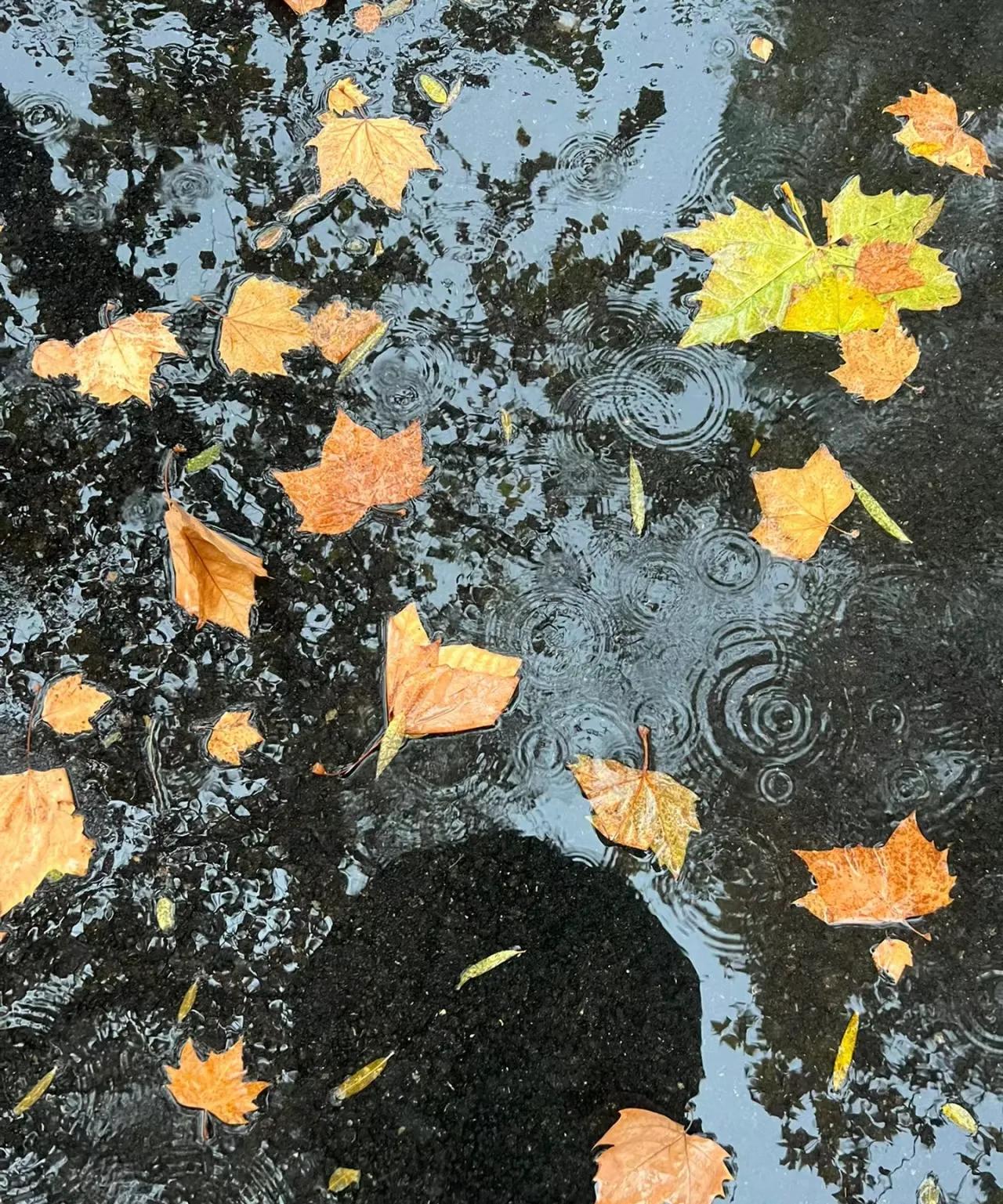 “错过了夏天的爱情 没喝到秋天的奶茶 但我始终相信 冬天的西北风一定有我一口” 