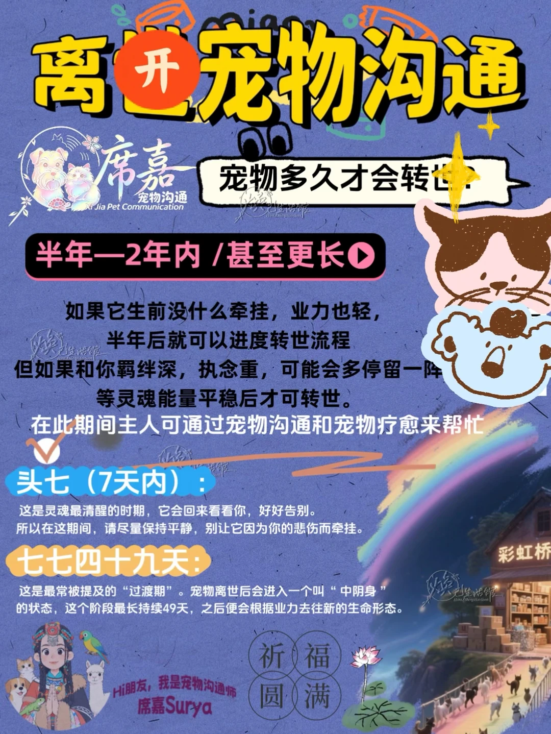 离开宠物沟通｜多久毛孩子轮回转