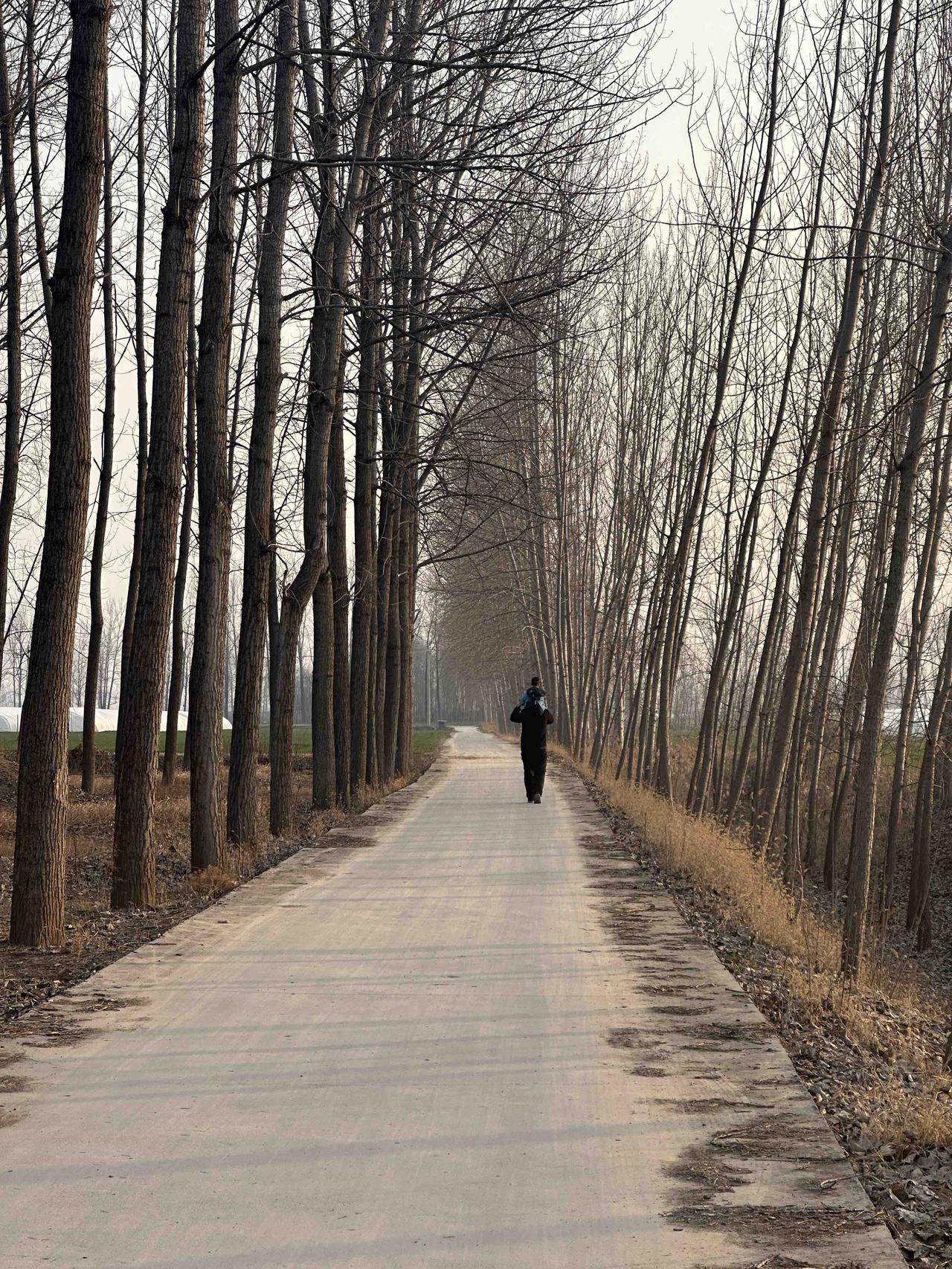 跨越1400里，终于回到了这个叫“家”的村庄！
终于体会到在外奔波的游子魂牵梦萦