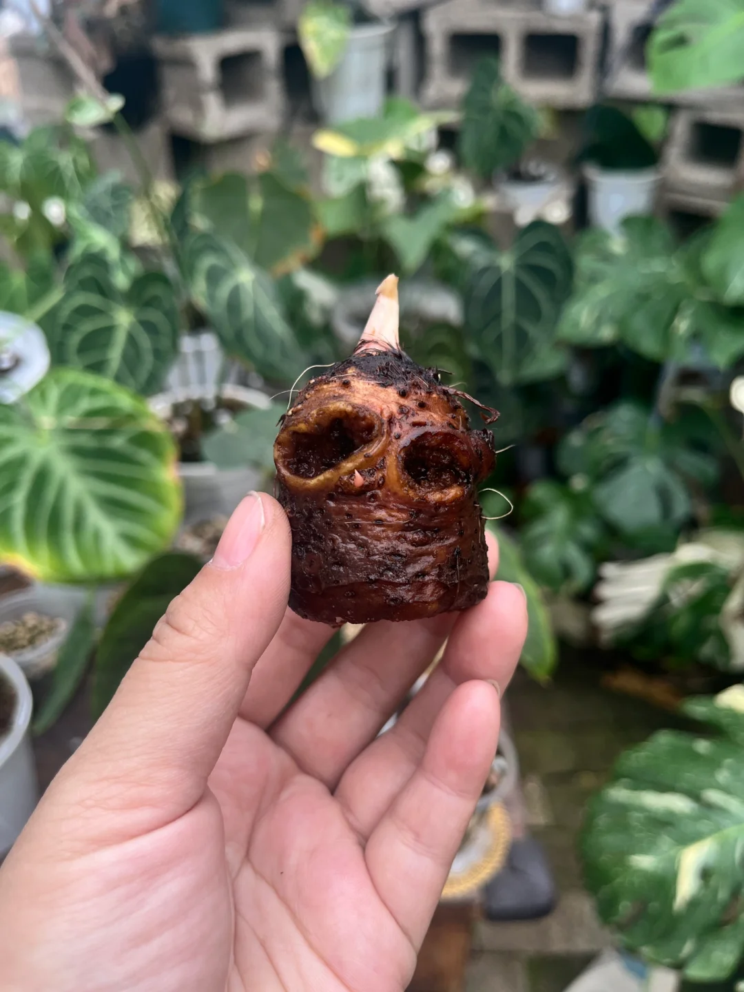 咋了你还长眼了？