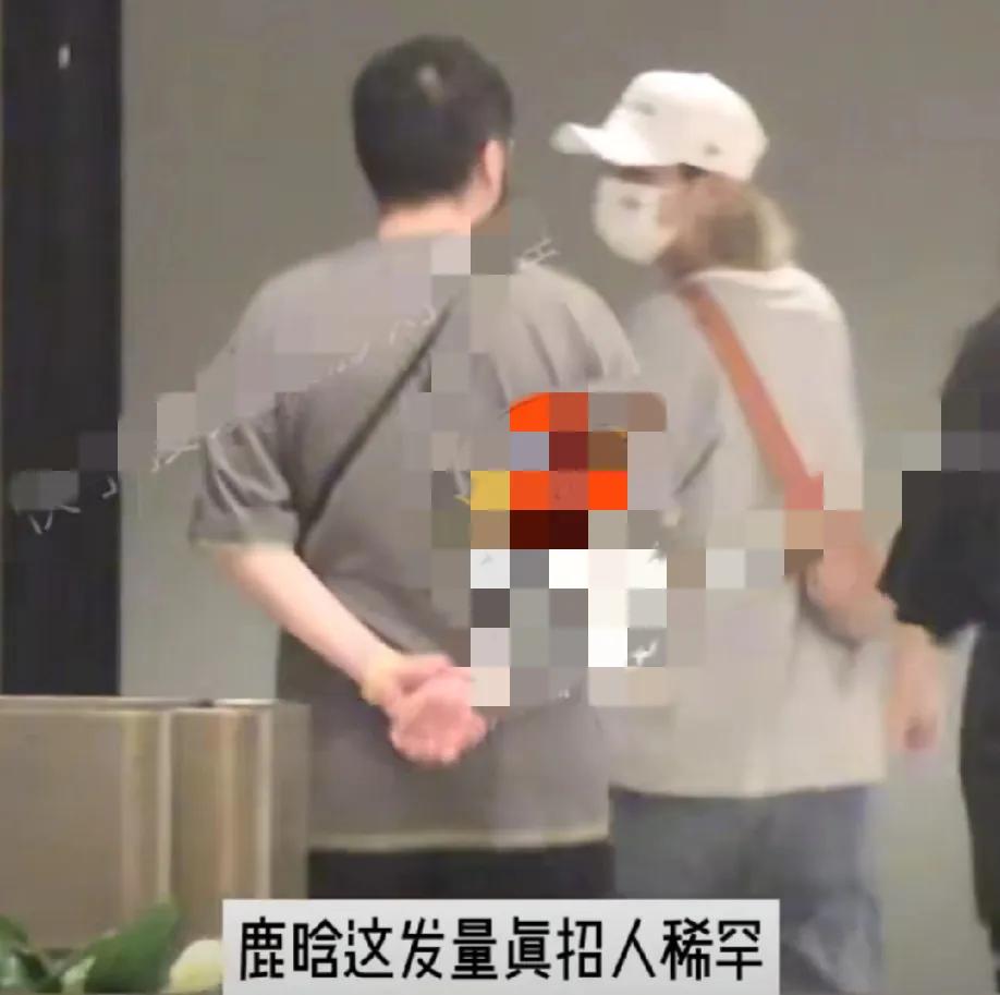 鹿晗冲上热搜！
8月1日，鹿晗突然冲上了热搜，起因是有狗仔拍到了鹿晗与发小老高一